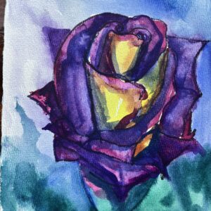 Purple Rose