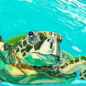 Flight of the Turtle